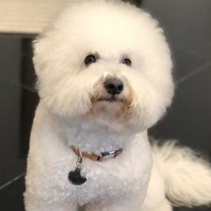 Meet your Posher, Tara